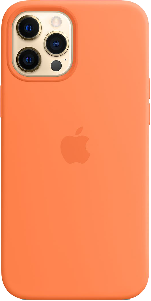 Чехол для Apple iPhone 12 Pro Max Silicone Case MagSafe «Кумкват»